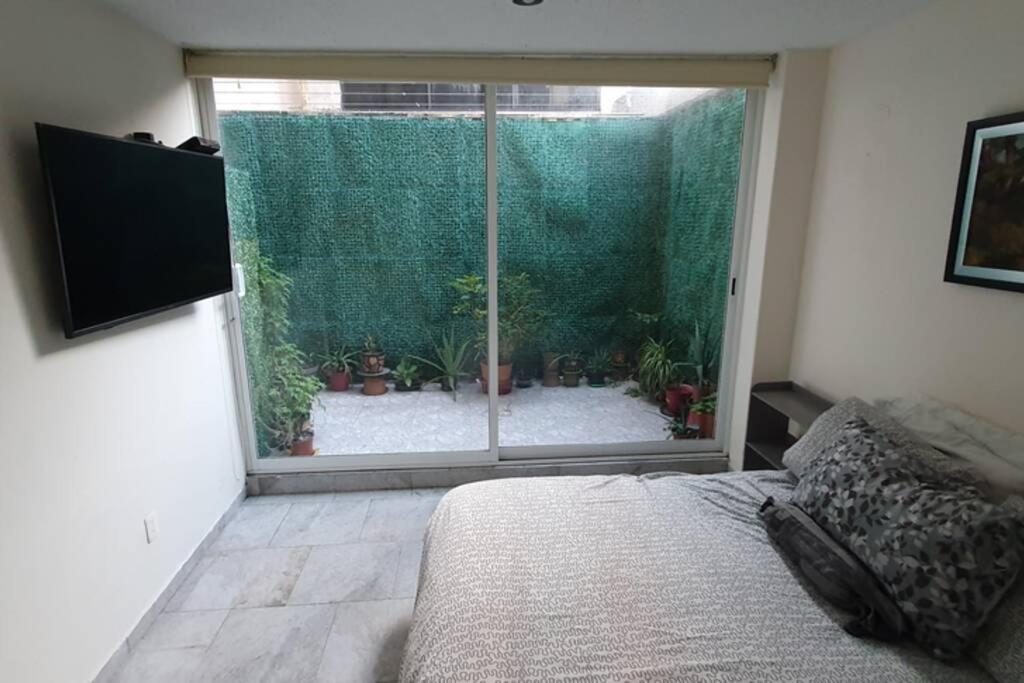 Apartament Tabasco Meksyk Zewnętrze zdjęcie